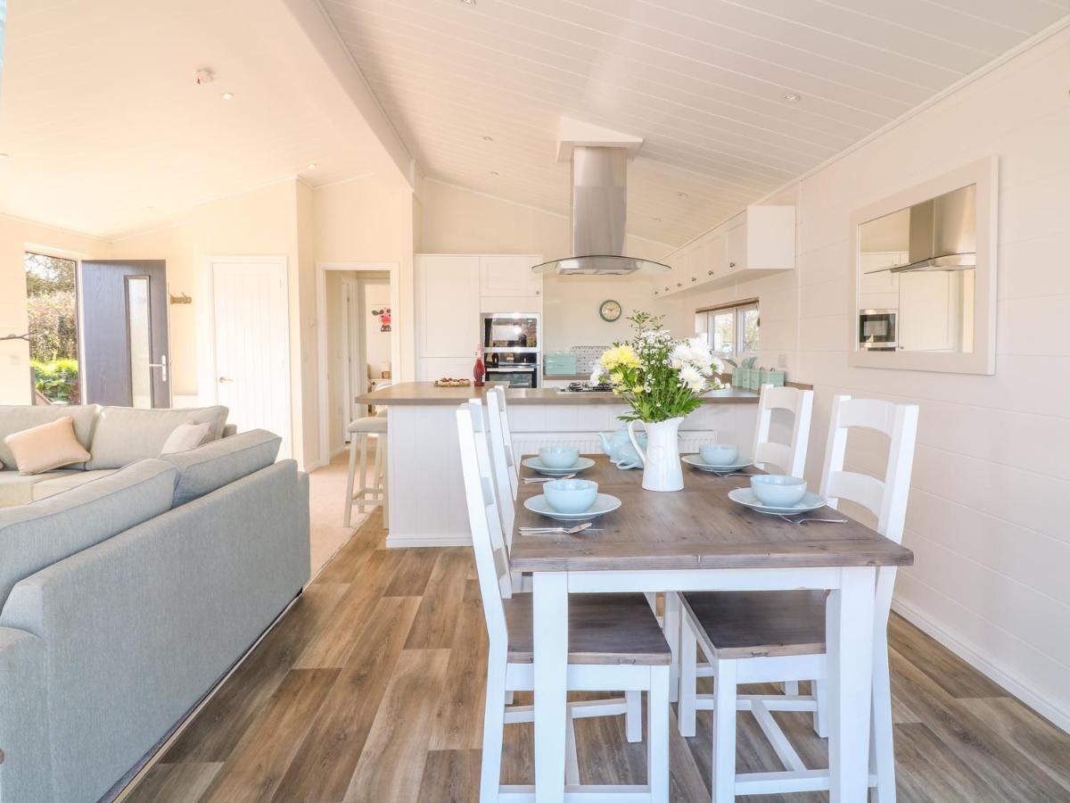 Ash Lodge Newton Abbot Exteriér fotografie