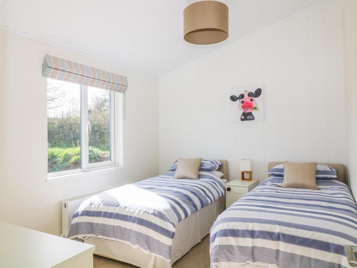 Ash Lodge Newton Abbot Exteriér fotografie