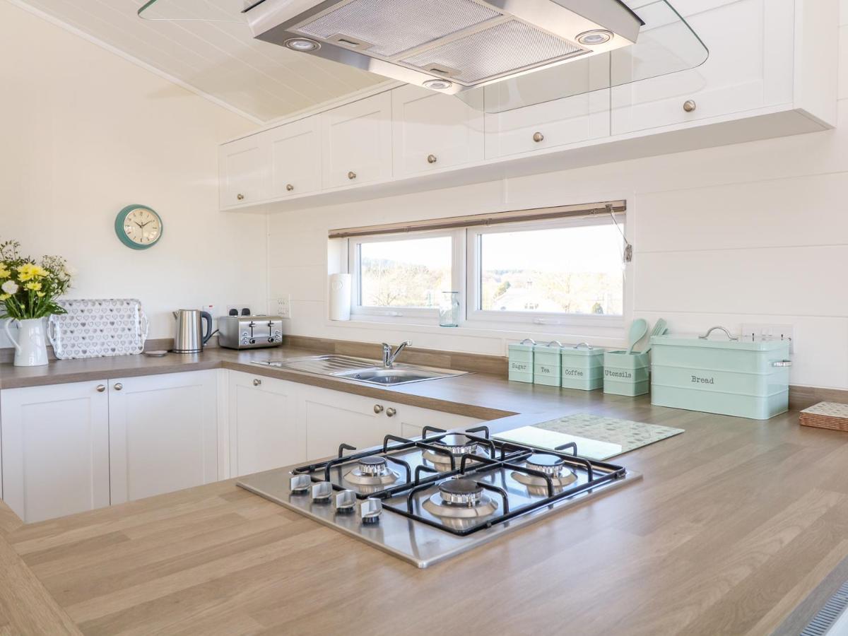 Ash Lodge Newton Abbot Exteriér fotografie